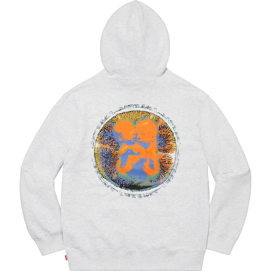 Supreme Embryo Hooded Sweatshirt (SS20) - Ash Grey - $148