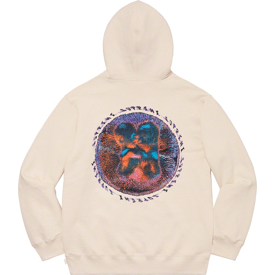 Supreme Embryo Hooded Sweatshirt (SS20) - Natural - $148