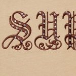 Supreme Old English Rhinestone S S Top (SS21) - Tan