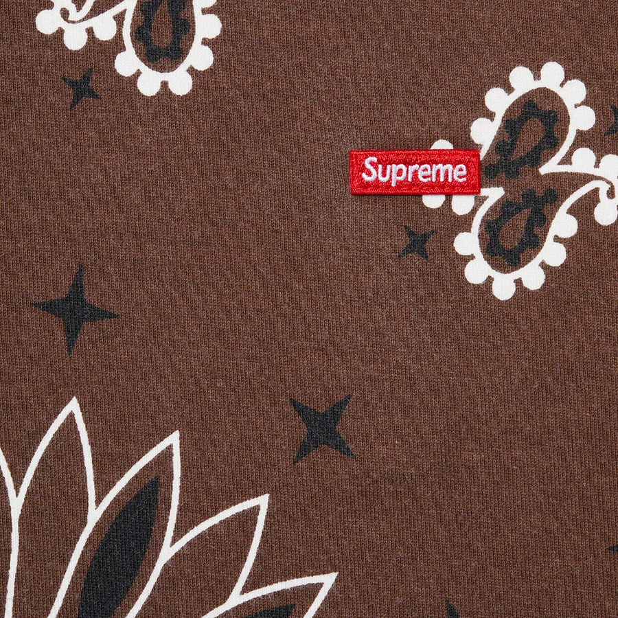 Supreme Small Box Tee (SS21) - Brown Bandana - $58
