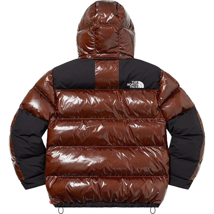 Supreme Supreme The North Face 700-Fill Down Parka (FW22) - Brown - $598