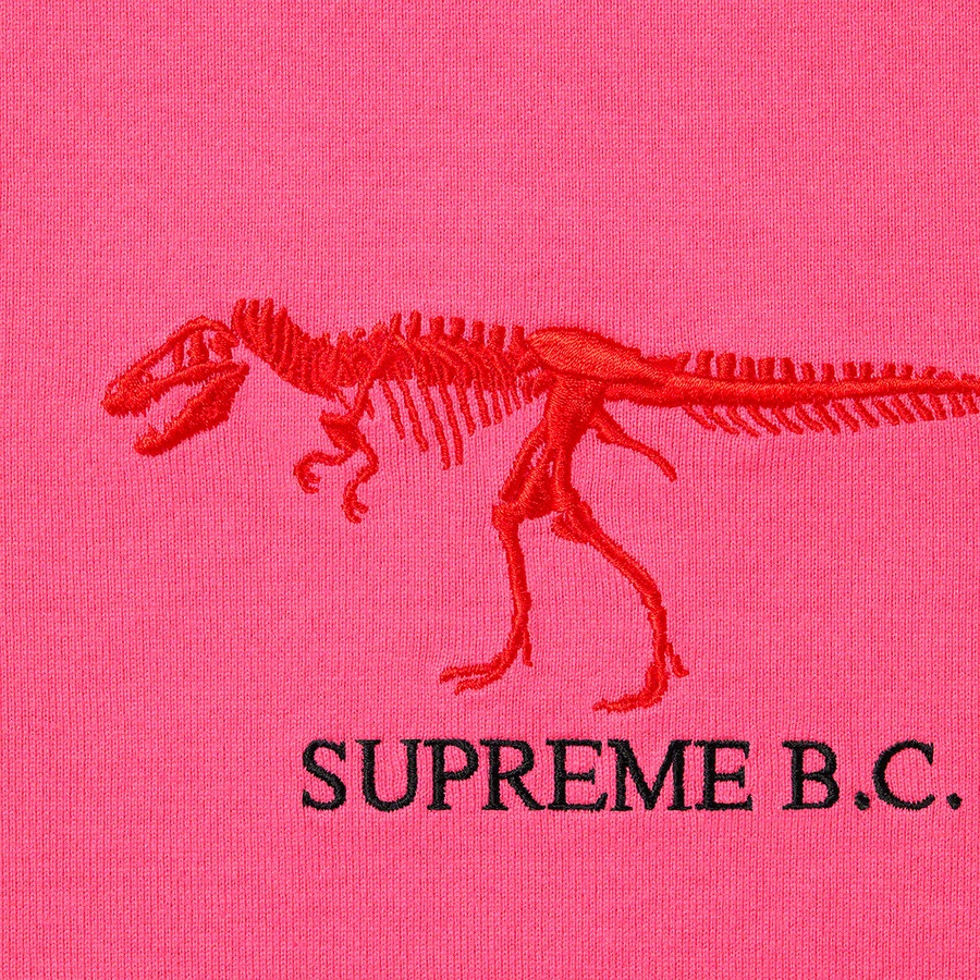 Supreme B.C. S S Top (FW22) - Bright Pink - $68