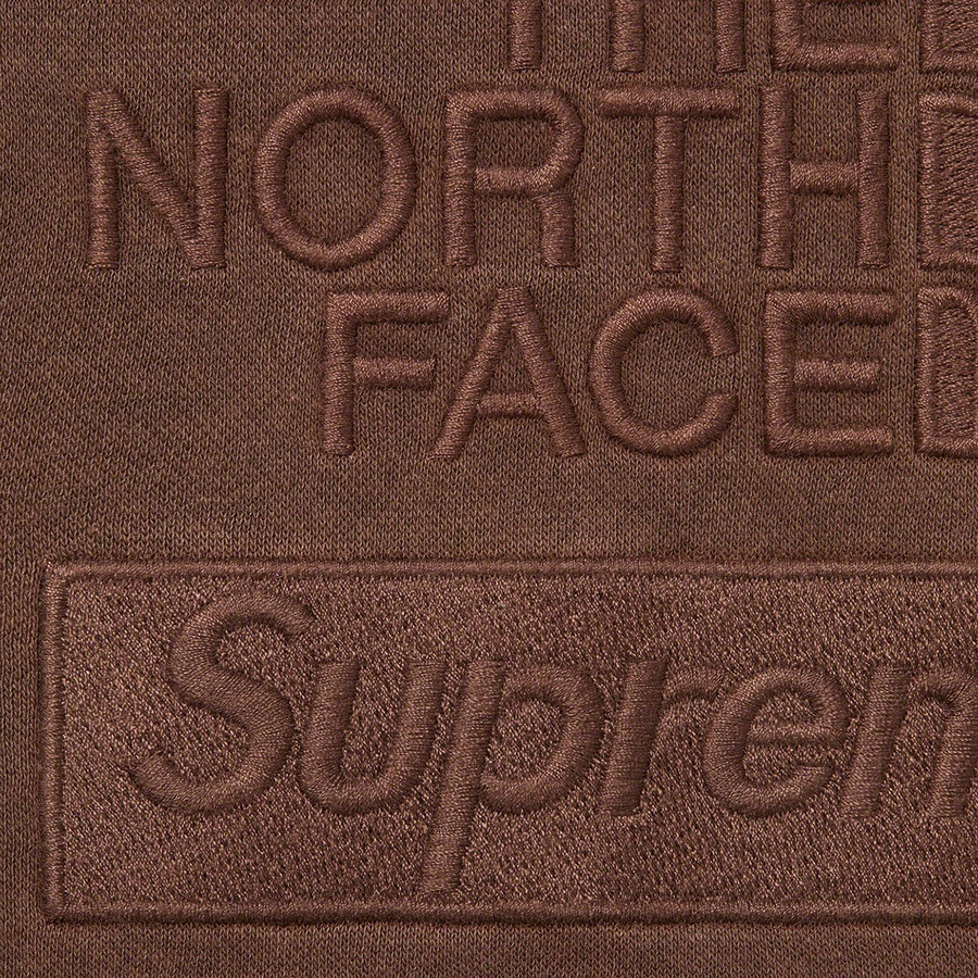 Supreme Supreme The North Face Pigment Printed Hooded Sweatshirt (FW22) - Brown - $138