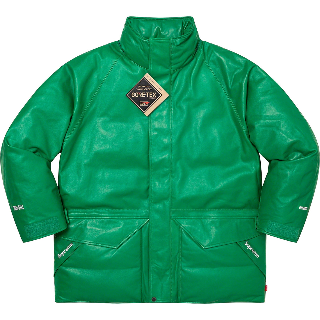 Supreme GORE-TEX Leather 700-Fill Down Parka (SS23) - Green - $1198