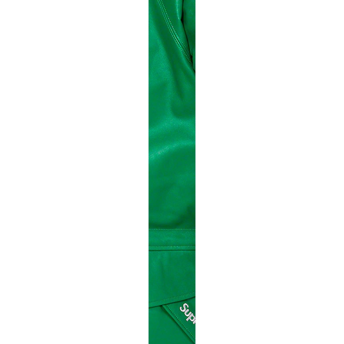 Supreme GORE-TEX Leather 700-Fill Down Parka (SS23) - Green - $1198