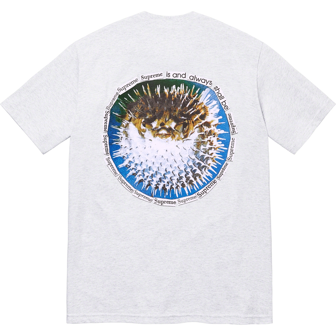 Supreme Blowfish Tee (SS23) - Ash Grey - $40