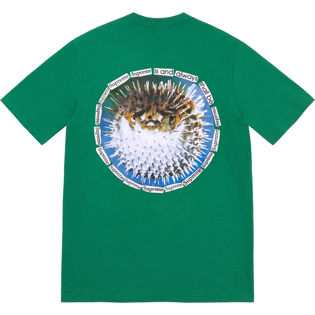 Supreme Blowfish Tee (SS23) - Light Pine - $40