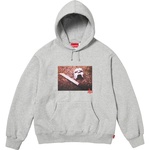 Supreme MF DOOM Hooded Sweatshirt (FW23) - Heather Grey