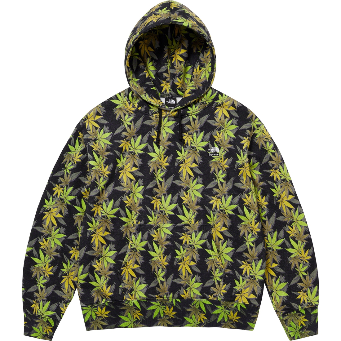 Supreme Supreme The North Face Leaf Hooded Sweatshirt (FW23) - Black - $158