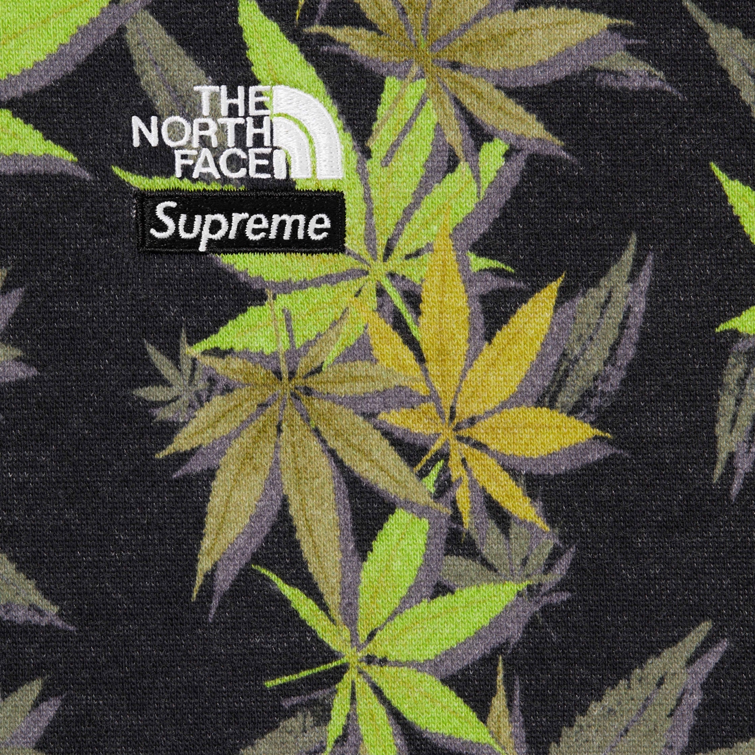 Supreme Supreme The North Face Leaf Hooded Sweatshirt (FW23) - Black - $158