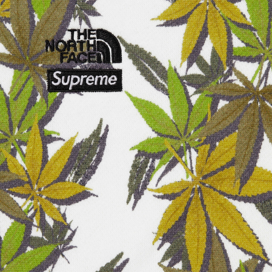Supreme Supreme The North Face Leaf Hooded Sweatshirt (FW23) - White - $158