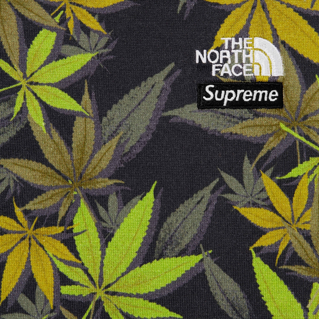 Supreme Supreme The North Face Leaf S S Top (FW23) - Black - $78