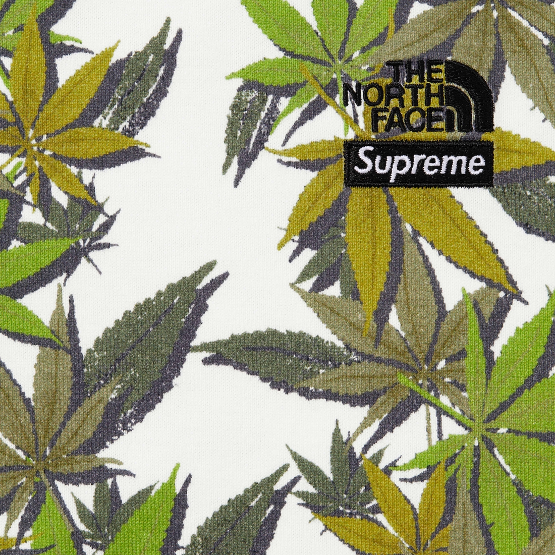 Supreme Supreme The North Face Leaf S S Top (FW23) - White - $78
