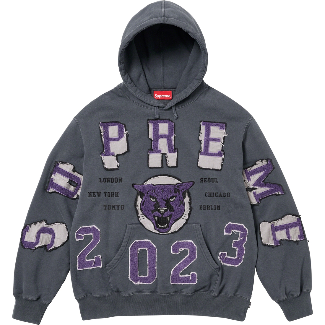 Supreme Washed Panther Hooded Sweatshirt (FW23) - Black - $178
