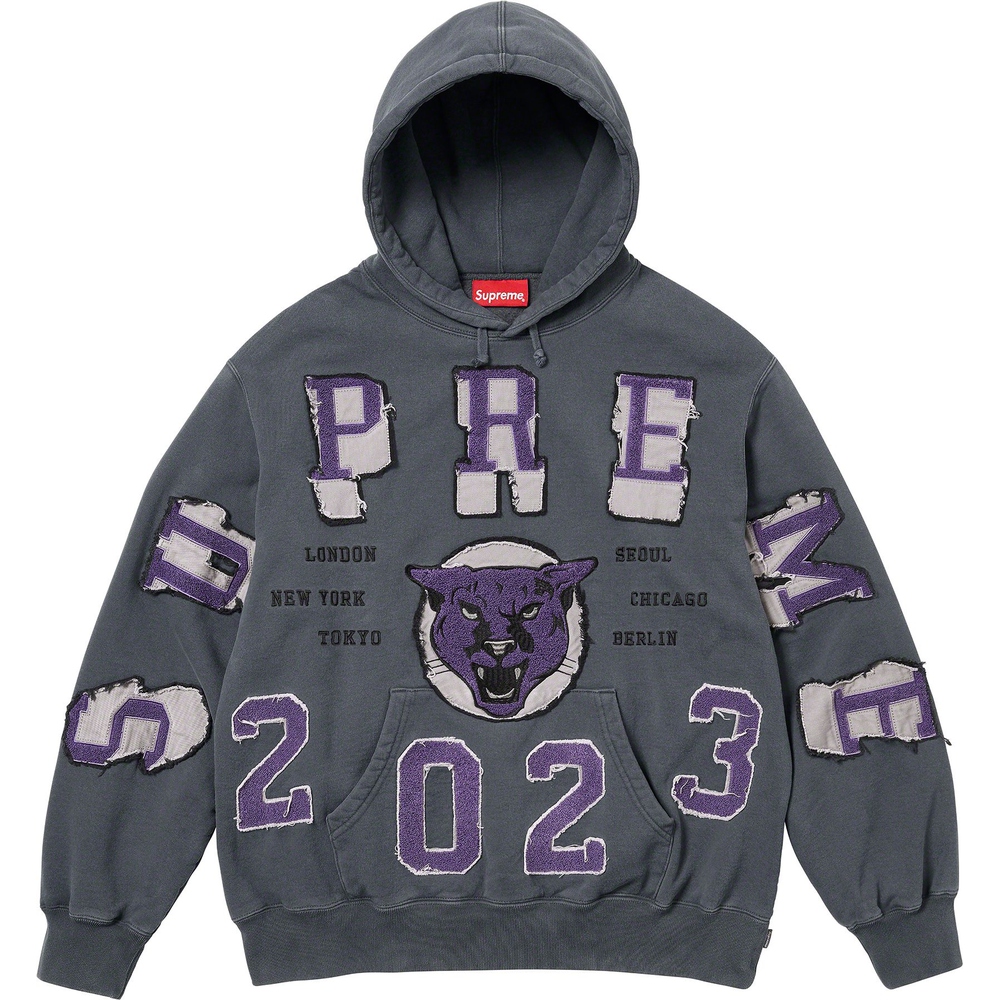 Supreme Washed Panther Hooded Sweatshirt (FW23) - $178
