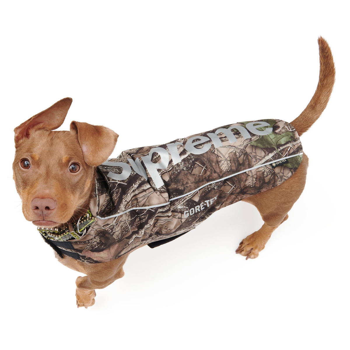 Supreme GORE-TEX Dog Jacket (FW24) - TrueTimber® HTC Fall Camo - $118