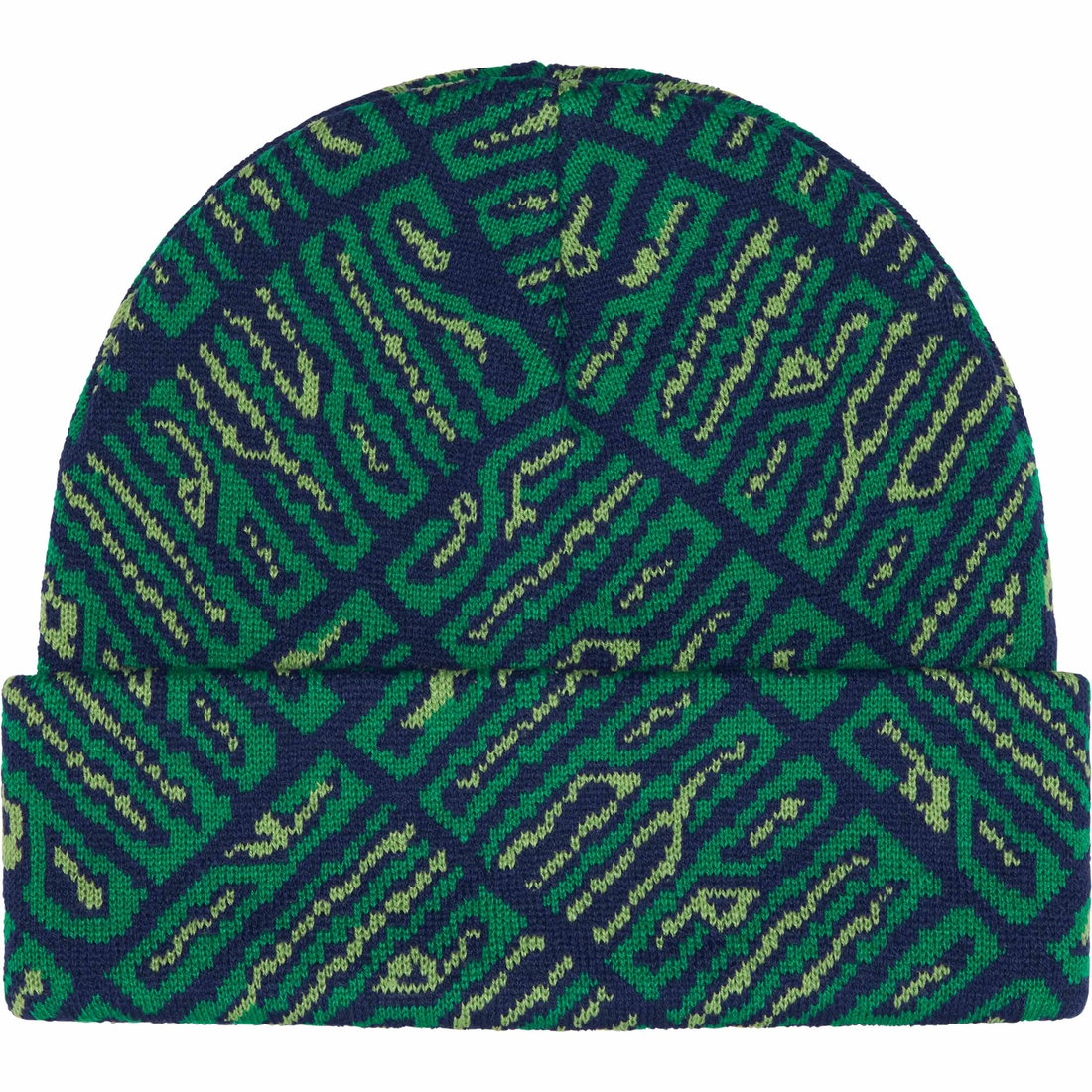Supreme Funk Spellout Beanie (FW24) - Green - $40