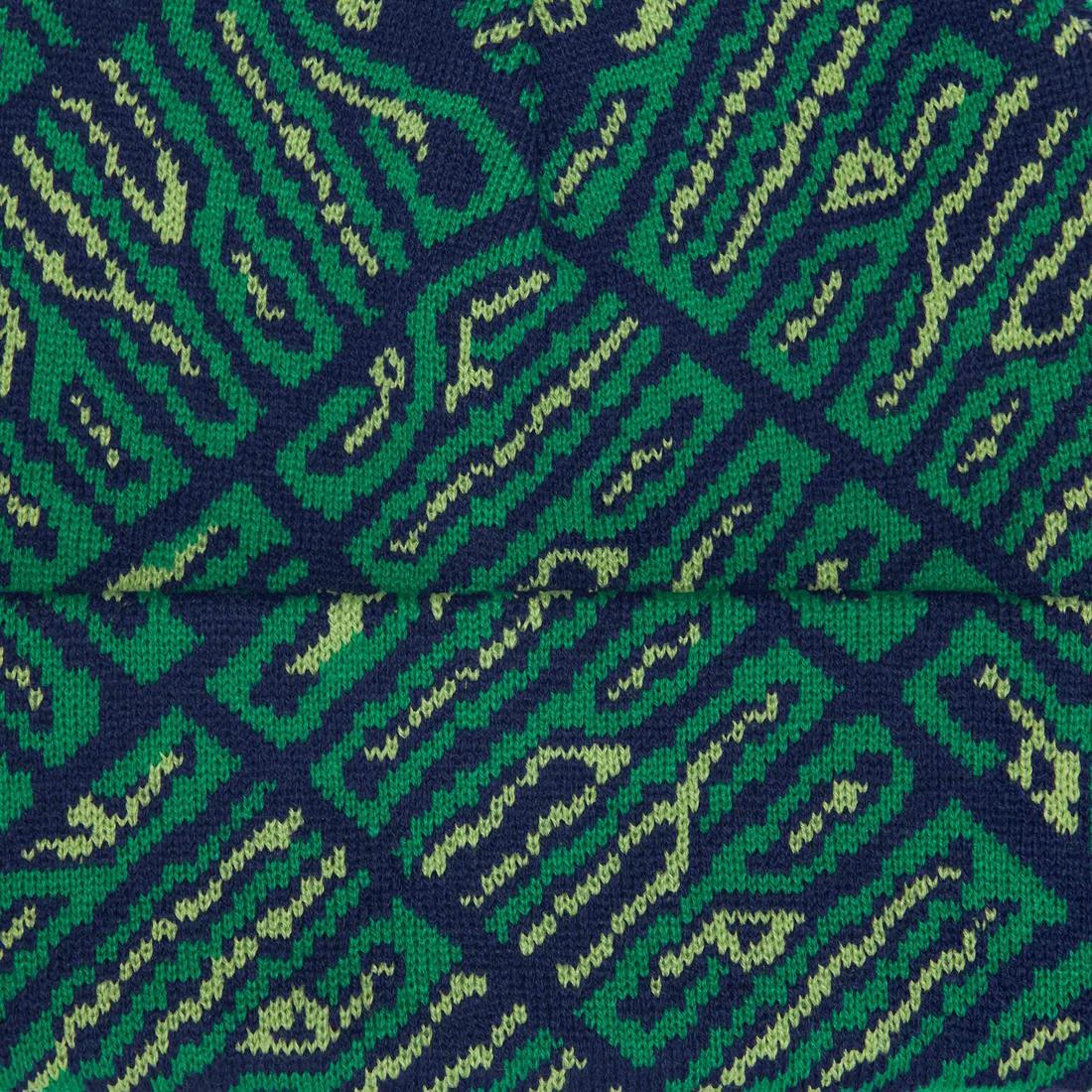 Supreme Funk Spellout Beanie (FW24) - Green - $40