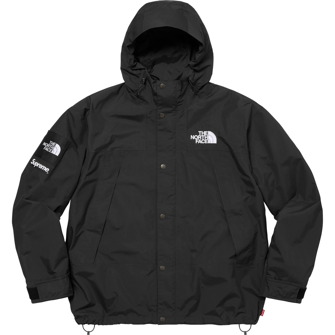 Supreme Supreme The North Face Mountain Jacket (FW24) - Black - $438
