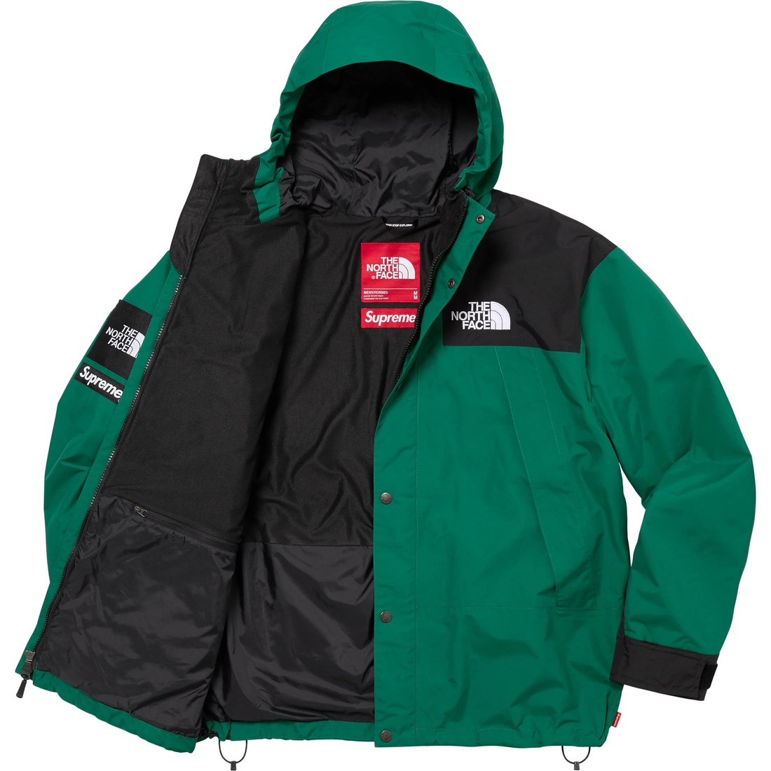 Supreme Supreme The North Face Mountain Jacket (FW24) - Green - $438