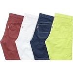 Supreme Painter Short (SS16)