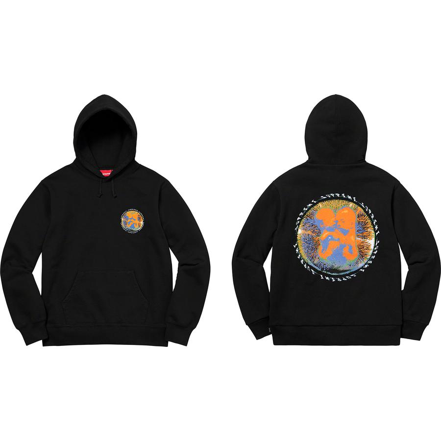 Supreme Embryo Hooded Sweatshirt (SS20) - $148