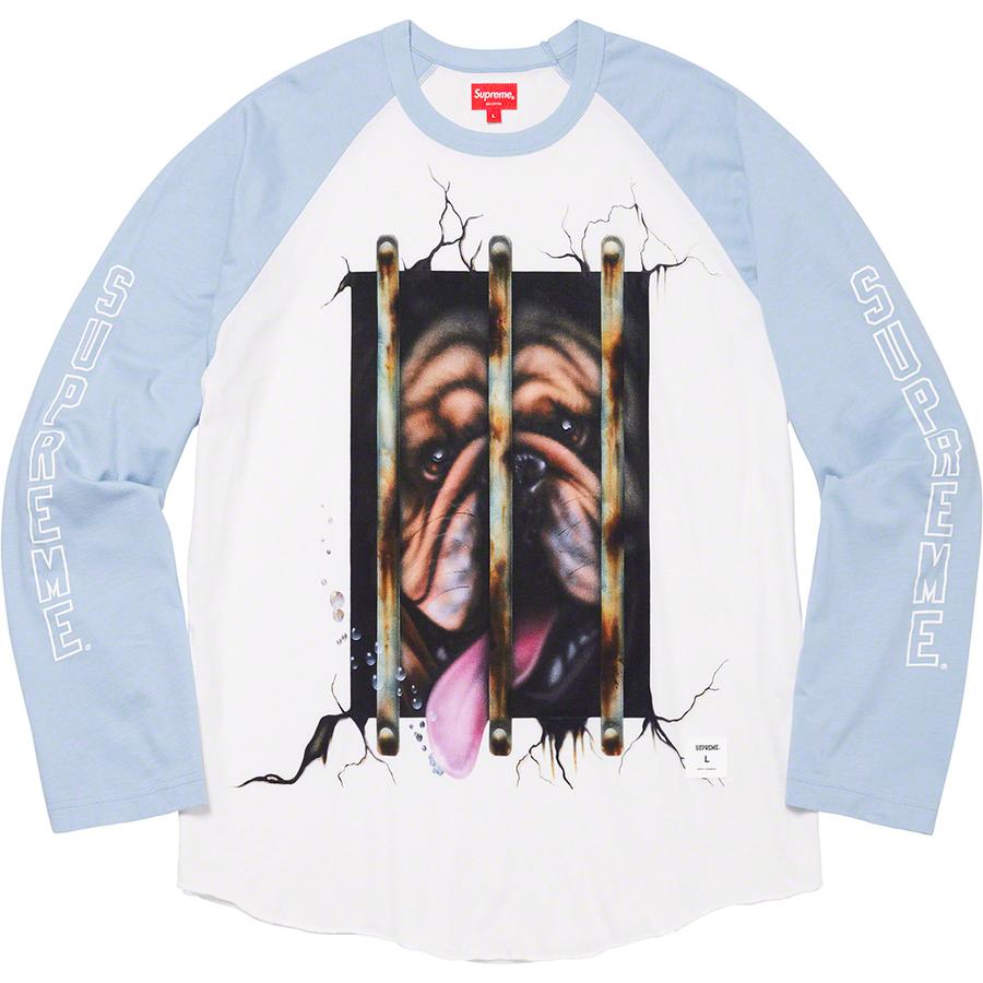 Supreme Dog Raglan L S Top (SS20) - $98