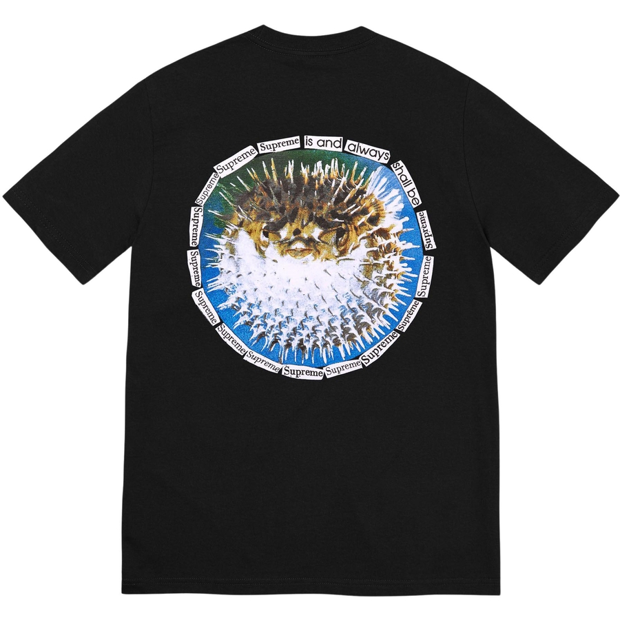 Supreme Blowfish Tee releasing on Week 18 for spring summer 2023