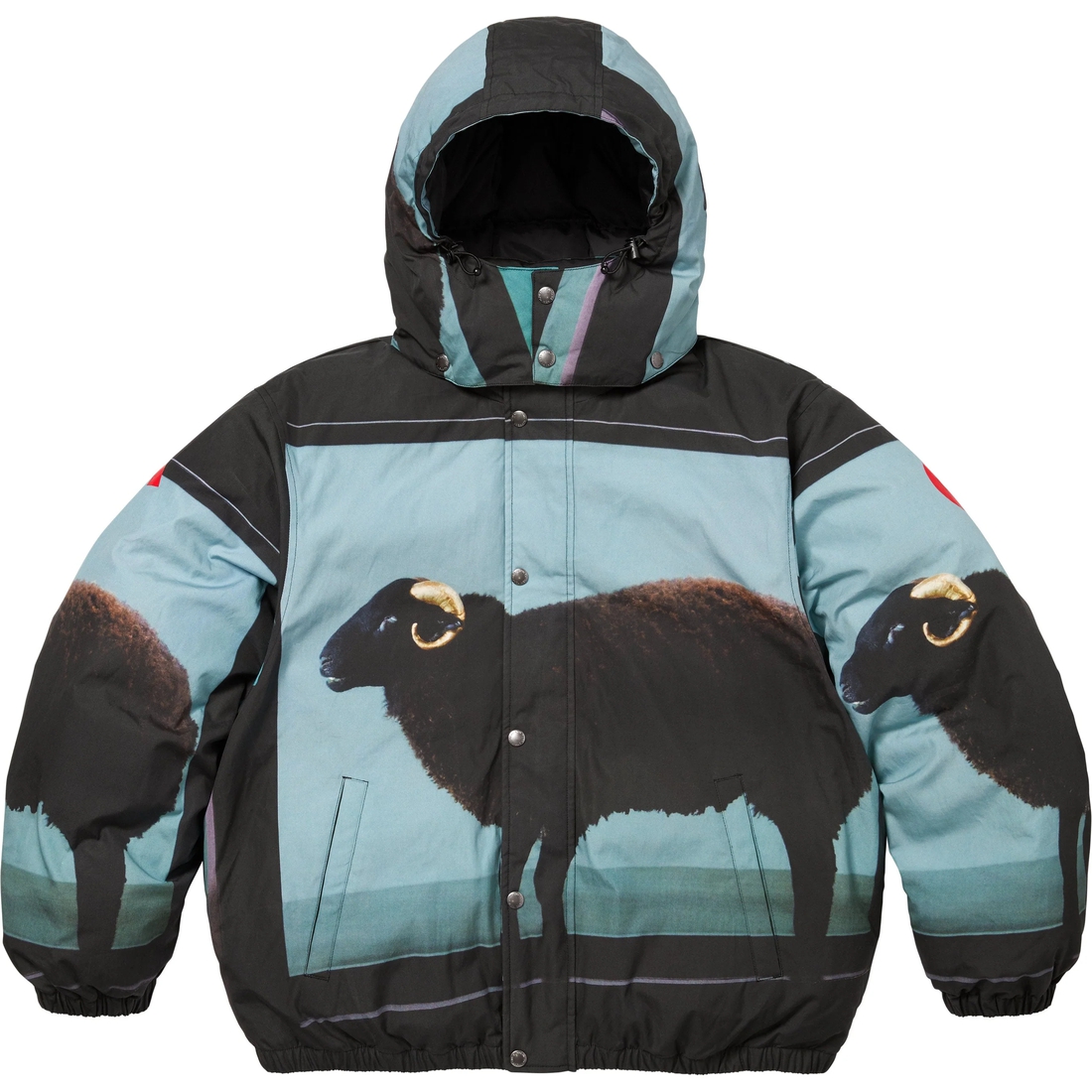 Supreme Supreme Damien Hirst Down Puffer Jacket (SS25) - Black - $488
