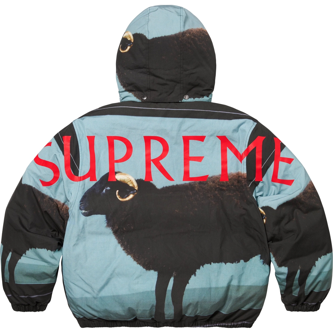 Supreme Supreme Damien Hirst Down Puffer Jacket (SS25) - Black - $488