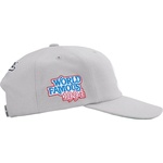 Supreme World Famous S Logo 6-Panel (SS25) - Grey